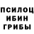 Псилоцибиновые грибы Magic Shrooms rina fevralskaya
