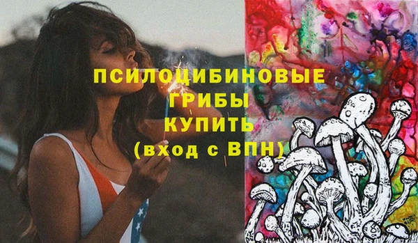 apvp Алексеевка