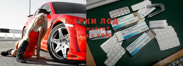 гидропоника Алзамай