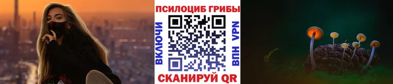где купить наркоту  Щёлково  Галлюциногенные грибы мицелий 